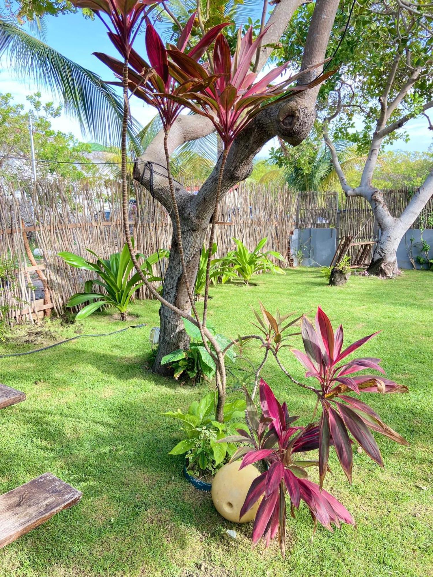 Bed and Breakfast Ricatins Exterior foto