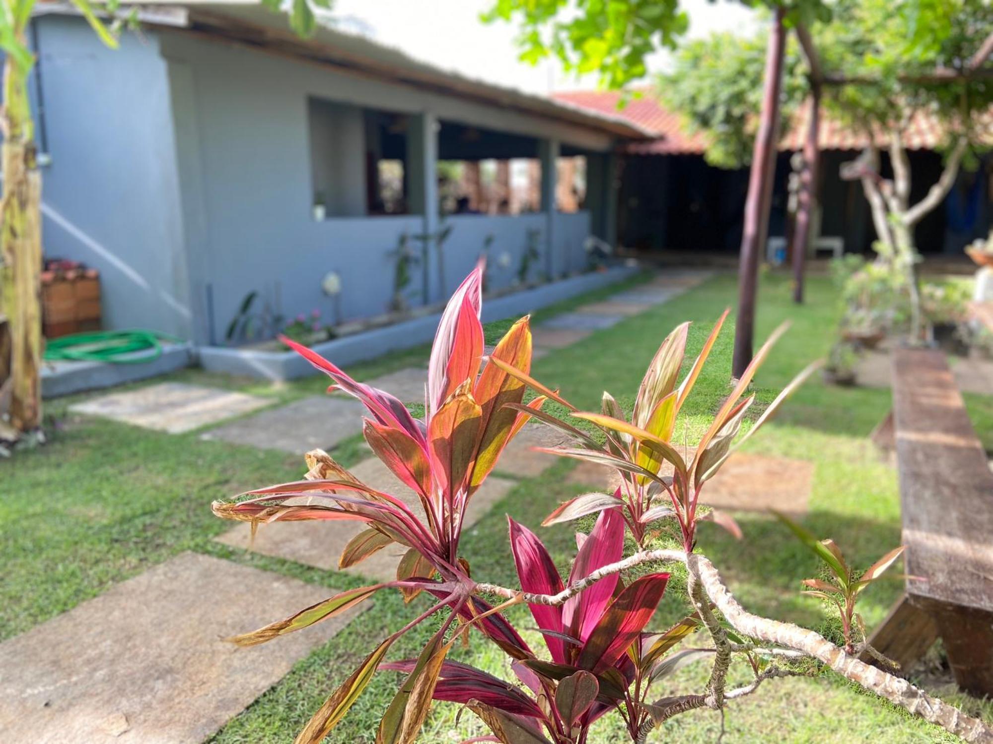 Bed and Breakfast Ricatins Exterior foto