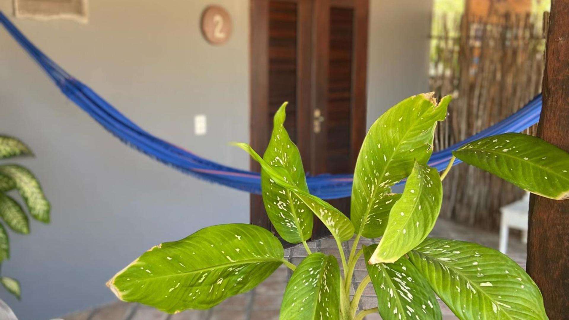 Bed and Breakfast Ricatins Exterior foto